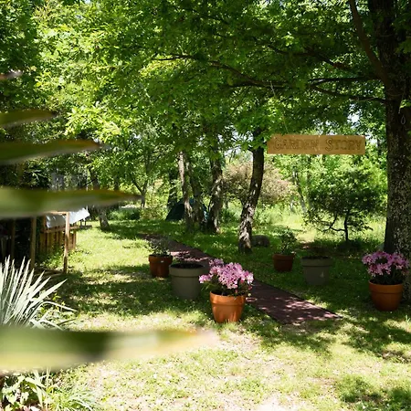 Palmira بوريتش