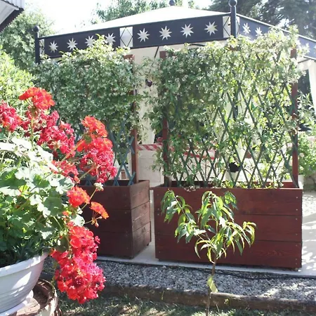 Palmira بوريتش