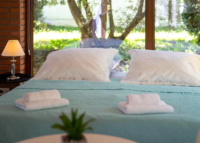 Palmira Πόρετς