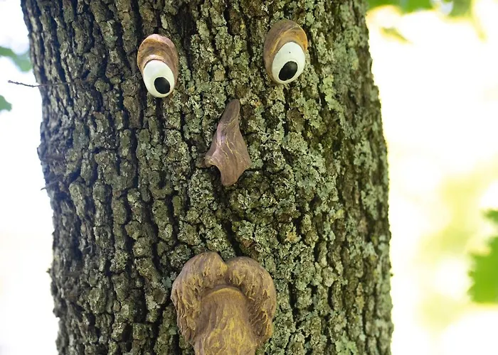 Palmira Διαμέρισμα