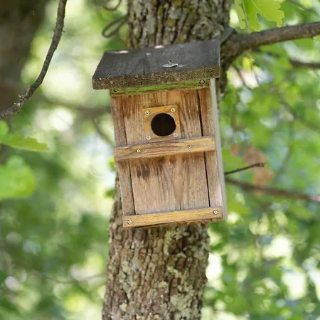 Palmira Appartamento