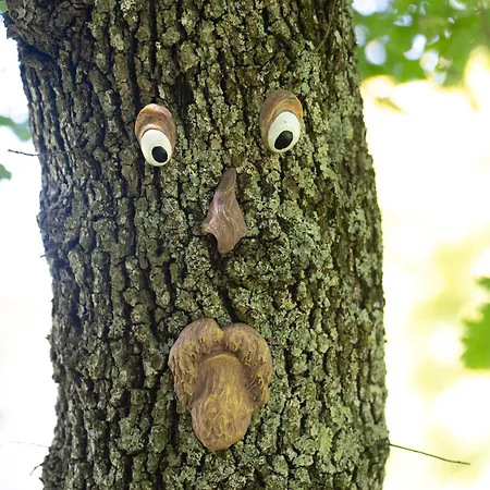 Palmira Appartamento