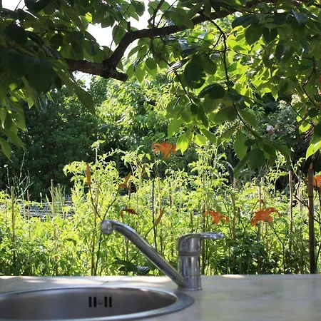 Palmira Apartment Porec