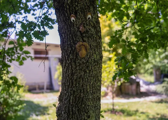 Daire Palmira Poreč